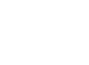 logo web transparent white