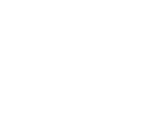 logo web transparent white